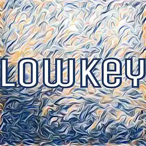 Picture for song 'lowkey' by artist 'Adron Got Hits'