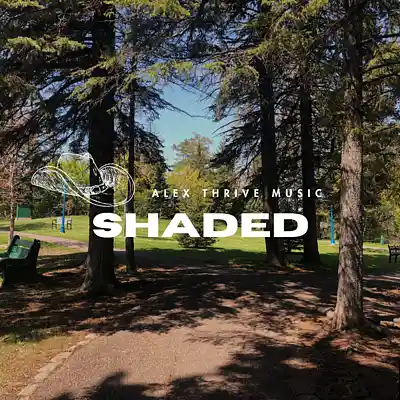 Picture for song 'Bailey Zimmerman Country Guitar Type Beat-Shaded' by artist 'Alex Thrive Music'