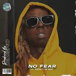 Picture for song 'No Fear' by artist 'Dimsho Beats'