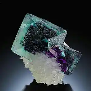 Picture for song '+ KOMPO +' by artist 'gorillagogetit'