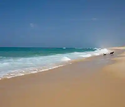 Picture for song 'WELCOME TO THE ISLANDS.mp3' by artist 'GREAT GWAMI'