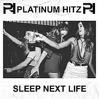 Picture for song '*NEW* Sleep Next Life (Buy 1 Get 2 Free)' by artist 'Platinum Hitz'
