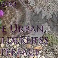 Picture for song 'Crisis In Dubai' by artist 'SONZOO'