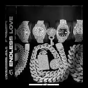 Picture for song '"Endless Love" Lil Durk Type Beat' by artist 'SpitfireGotK'