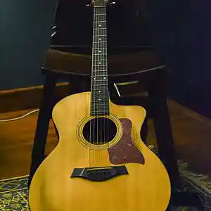 Picture for song 'That's All Right, Mama Unplugged' by artist 'The Andersons Unplugged'