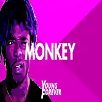 Picture for song 'Monkey (Young Forever x FlyMelodies)' by artist 'Young Forever Beats'