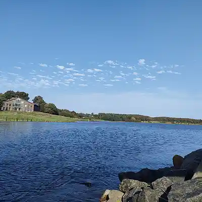 Picture for song '20240829_173041_fSo_' by artist '786 scheint-Al'lahs Bande'