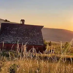 Picture for song 'Summer's Demise' by artist 'Anderson Lake Blues Project'