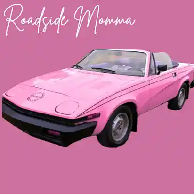 Picture for song 'Roadside Momma 2026 Remix' by artist 'AvMo'