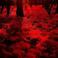 Picture for song 'BloodyPool' by artist 'Crystal Music Station'