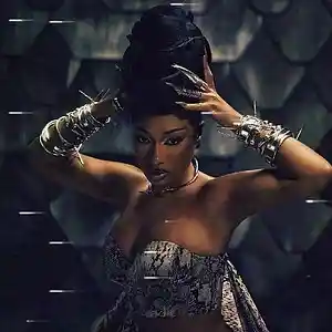 Picture for song 'Nicki Minaj x Megan Thee Stallion Type Beat - “Pro' by artist 'Dichano'