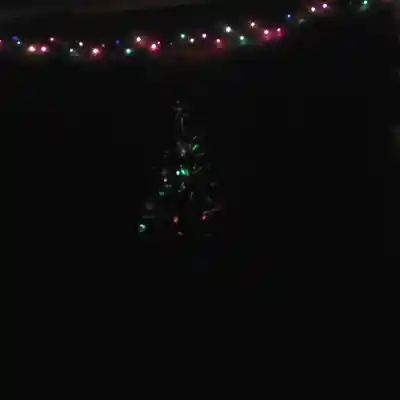 Picture for song 'Silent Night' by artist 'Felon E Recordz'