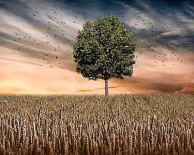 Picture for song 'Change Of Season' by artist 'F-Jam Collaboration Studios'