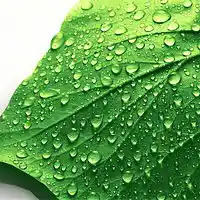 Picture for song 'Dew drops' by artist 'Gabriel 880'