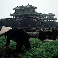 Picture for song 'Groovy ' by artist 'Highself'