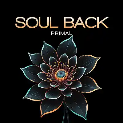 Picture for song 'Soul Back' by artist 'Primal-The-Visionary'