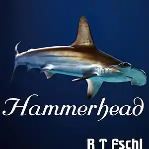 Picture for song 'Hammerhead' by artist 'R T Fschl'