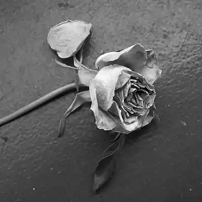 Picture for song '$.k.w - The last of something' by artist 'skw'