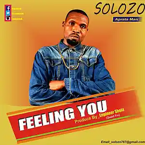 Picture for song 'Solozo_Feeling' by artist 'Solozo'