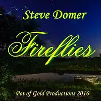 Picture for song 'Fireflies' by artist 'Steve Domer'