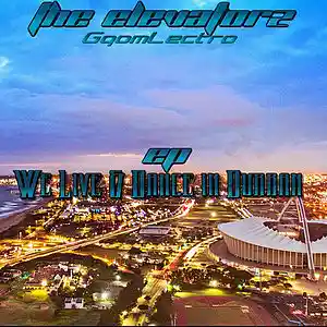 Picture for song '04 Stock' by artist 'The Elevatorz'