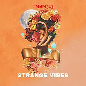 Picture for song 'Strange Vibes' by artist 'TMBM313'