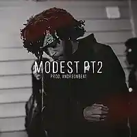 Picture for song 'Modest pt2' by artist 'AndreOnBeat'