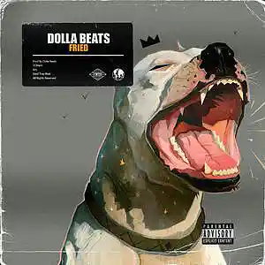 Picture for song 'Fried' by artist 'CashHunters'