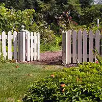 Picture for song 'Jolly fence (David Thomas King)' by artist 'David Thomas King'