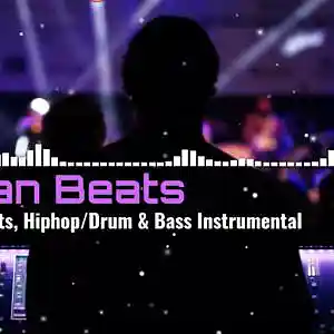 Picture for song 'Sleepless Nights (Instrumental)' by artist 'Erfman Beats'