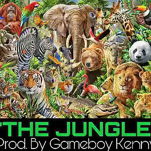 Picture for song 'The Jungle' by artist 'Gameboy Kenny'