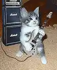 Picture for song 'The BAD man BASHING song (original country)' by artist 'loraine'