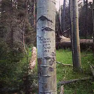 Picture for song 'Holy House' by artist 'Rick Smerage'