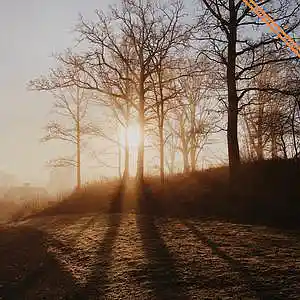 Picture for song 'Before Morning' by artist 'AllBeats4u'