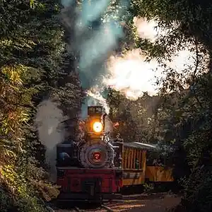 Picture for song 'Midnight Special' by artist 'barry coleman folk'