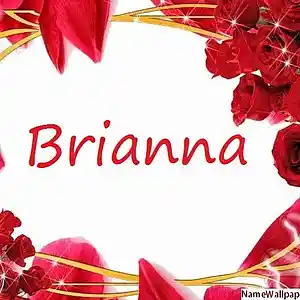 Picture for song 'Didn't I blow your mind (Brianna)' by artist 'DANKONG'