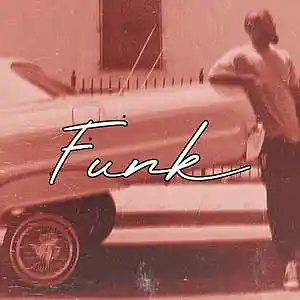 Picture for song 'Funk' by artist 'Frankenstein Beats'