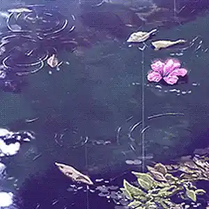 Picture for song '118 (For Sale)' by artist 'Jack Reilly'