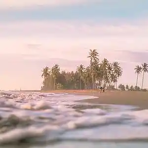 Picture for song 'Everytime (Tropical House x Pop Dance Type Beat)' by artist 'JayUrbanMusic'