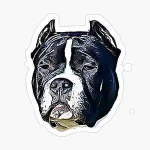 Picture for song 'Bully' by artist 'MaDrumBeats'