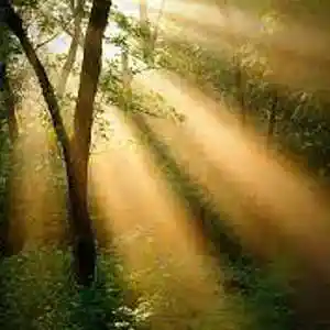 Picture for song 'MORNING DAYDREAM - featuring John Matteson on Gui' by artist 'Rick Smerage'