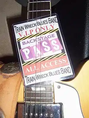 Picture for song 'Guilty.mp3 463031' by artist 'Trainwreck Blues Band'