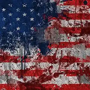 Picture for song 'MERICA' by artist 'thomas white'