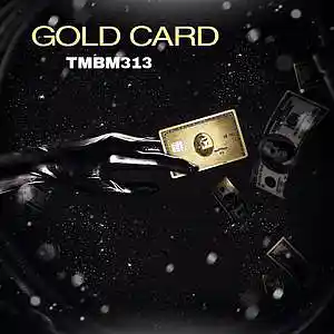 Picture for song 'Gold Card' by artist 'TMBM313'
