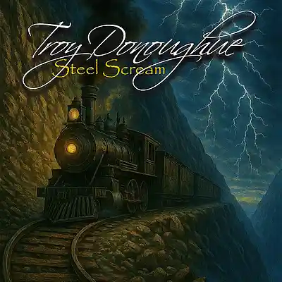 Picture for song 'You Dont Understand (Metal Version)' by artist 'Troy Donoughue'