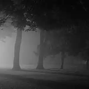 Picture for song 'Gold(Prod.whoDeany)' by artist 'whoDeanyBeatz'