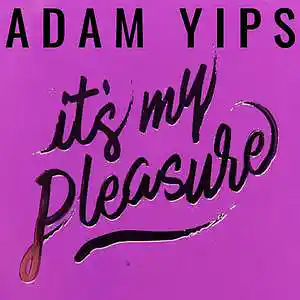 Picture for song 'Don't Go (Full Length Vocal Version)' by artist 'Adam Yips'