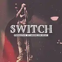 Picture for song 'Switch (Download)' by artist 'AndreOnBeat'
