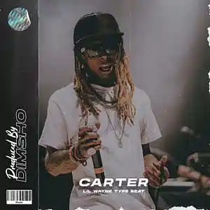 Picture for song 'Carter' by artist 'Dimsho Beats'