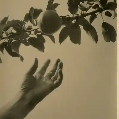 Picture for song 'marion' by artist 'drama collection'